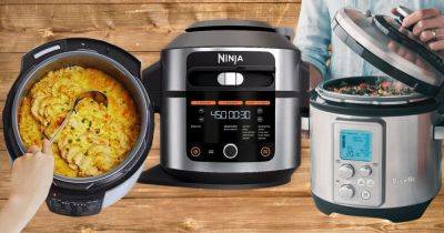 Haley Zovickian - Can - These Powerful Multi-Cookers Can Do It All — And Reviewers Are Obsessed - huffpost.com