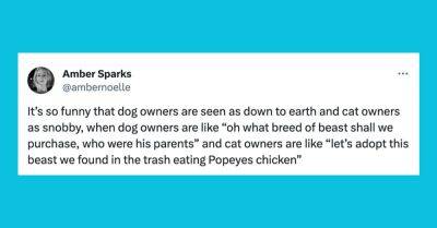 Hilary Hanson - 22 Of The Funniest Tweets About Cats And Dogs This Week (Jan. 13-19) - huffpost.com