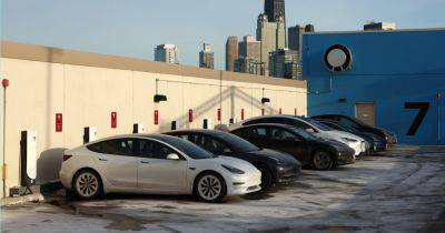 Tesla Profit From Car Sales Falls as Price Cuts Hurt