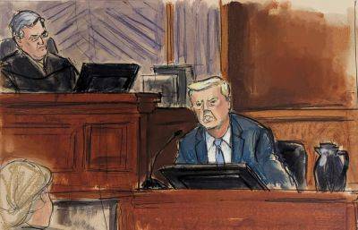 Donald Trump - Jean Carroll - Alina Habba - Lewis A.Kaplan - A day after Trump testifies, lawyers have final say in E. Jean Carroll defamation trial - independent.co.uk - city New York - New York - city Manhattan - county Carroll