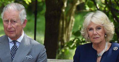 Queen Camilla Gives Update On King Charles' Condition After Hospital Visit