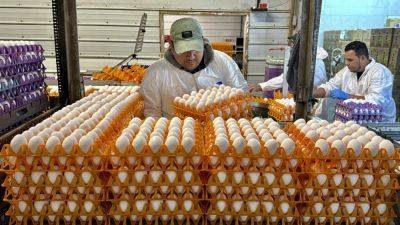 Avian flu is devastating farms in California’s ‘Egg Basket’ as outbreaks roil poultry industry