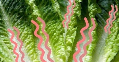 Is It Safe To Eat Lettuce That's Turned Pink Or Slimy? - huffpost.com