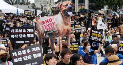 South Korea's Parliament Passes Landmark Ban On Production And Sales Of Dog Meat - huffpost.com - North Korea - South Korea