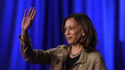 Kamala Harris - Hillary Clinton - Elissa Slotkin - Hanna Panreck - But Trump - Nervous Democrats in Michigan suffering 'PTSD' and 'paranoia' over 2016 as election day nears: Report - foxnews.com - New York - state Michigan - county Harris