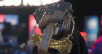 Triumph The Insult Comic Dog Scorches Donald Trump Jr. With Brutal JD Vance Burn