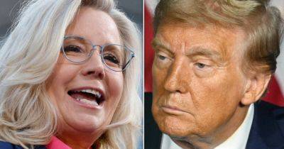 Liz Cheney Splotches Donald Trump With Golden Line About Her Past