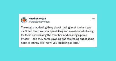 28 Of The Funniest Tweets About Cats And Dogs This Week (Sept. 28-Oct. 4)