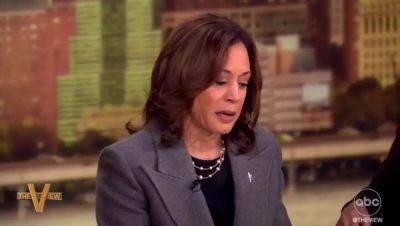 Kamala Harris rolled out a new policy proposal on The View. Does it stand up to scrutiny?