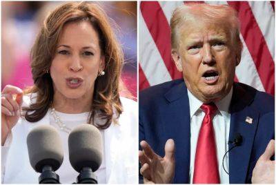 ‘Nothing persuades anyone anymore’: Insiders from the Trump and Harris campaigns get candid about their election fears