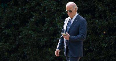 Joe Biden - Donald Trump - Biden Campaign - These poll numbers help explain why the Biden campaign joined TikTok - nbcnews.com