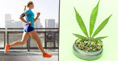 Brittany Wong - Does Weed Make Running Easier? A New Study Has A Surprising Answer. - huffpost.com - state Colorado