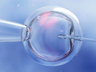 ‘Our lives are upended’: Alabama’s IVF ruling is already preventing people having children - independent.co.uk - state Alabama - county Mobile