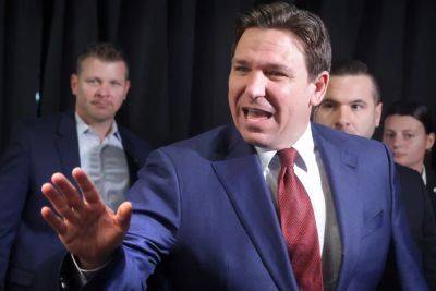 DeSantis raises concerns about Trump VP choice in call to Republican backers