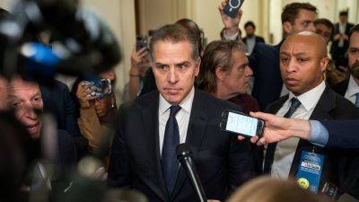 Trump - Danielle Wallace - Fox - Biden Says - Hunter Biden says staying sober crucial to preventing a Trump win: 'Ultimate test for a recovering addict' - foxnews.com