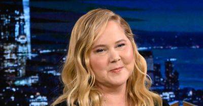 Curtis M Wong - Amy Schumer - Amy Schumer Says Comments On Her 'Puffier' Face Led To Cushing's Syndrome Diagnosis - huffpost.com
