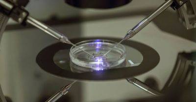 Alabama Legislature Votes To Protect IVF After State Supreme Court Chaos
