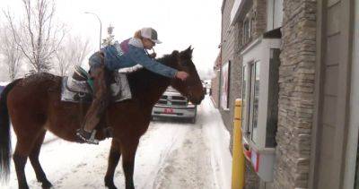 Alberta woman, threatened with jail time for riding horse around town, rides again - globalnews.ca