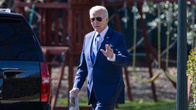 Biden campaign call sidetracked by fitness questions, surrogates insist he is 'in full control'