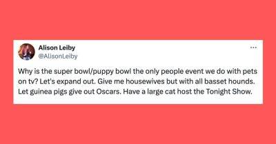 Hilary Hanson - MAR - 24 Of The Funniest Tweets About Cats And Dogs This Week (Feb. 24 - Mar. 1) - huffpost.com - Usa