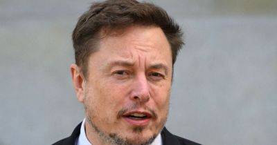Elon Musk - Ben Blanchet - Elon Musk Whines About ‘Woke’ Oscars & People Won’t Stop Roasting Him - huffpost.com