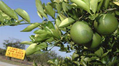 Florida citrus capital was top destination for US movers last year