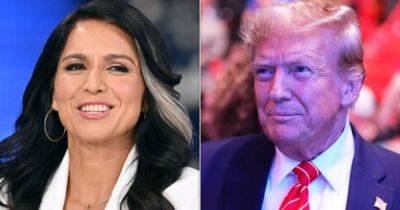 Tulsi Gabbard Tells Donald Trump Jr. How Badly She Wants To Be His Dad's Running Mate