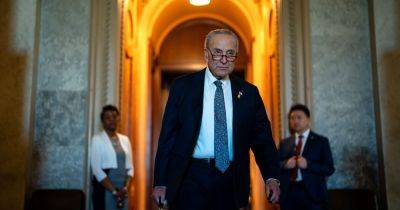 A Watershed Moment for the Politics of Israel, Courtesy of Chuck Schumer