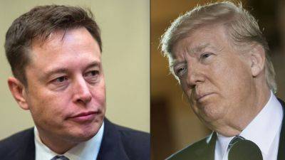 Elon Musk says Trump 'came by' while he was eating breakfast, did not ask for money