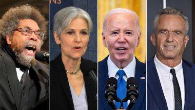 Democrats ripped for trying to 'kill democracy' with effort to protect Biden, silence third-party candidates