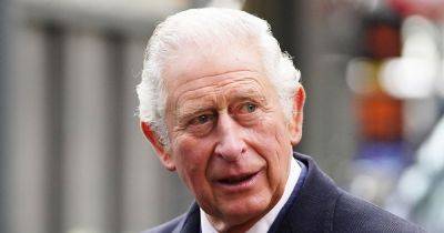 Royal Family Member Says King Charles Is 'Frustrated' By This Aspect Of His Cancer Diagnosis