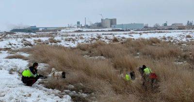 Southern - Southern Alberta man stuck in mud for 2 days rescued thanks to his dog - globalnews.ca