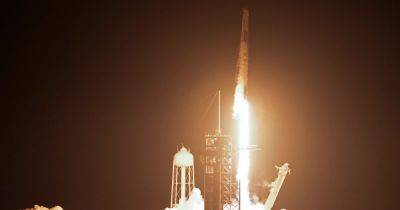SpaceX, NASA successfully launch manned Crew-8 mission to International Space Station - nbcnews.com - state Florida - Russia