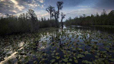 Mining company can’t tap water needed for Okefenokee wildlife refuge, US says