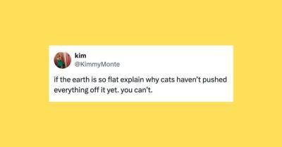 Elyse Wanshel - MAR - 24 Of The Funniest Tweets About Cats And Dogs This Week (Mar. 2-8) - huffpost.com - Usa