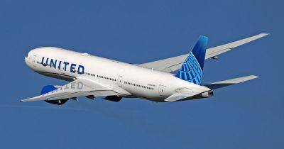 United Airlines Flight Forced To Land After Dog Poops In First Class Aisle