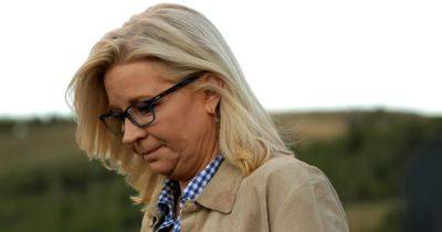 Donald Trump - Liz Cheney - Summer Concepcion - Ex-Ford foundation member calls Liz Cheney 'only person on this planet' worthy of top award after snub he says was over Trump - nbcnews.com