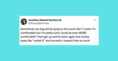 Elyse Wanshel - 31 Of The Funniest Tweets About Cats And Dogs This Week (April 6-12) - huffpost.com - Usa