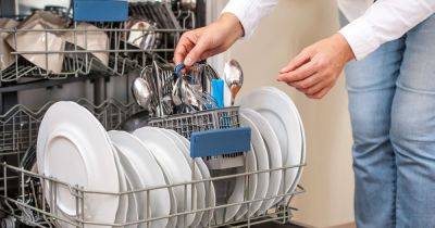 Noah Michelson - Am I Doing It Wrong - Uh-Oh. You're Probably Loading Your Dishwasher All Wrong. - huffpost.com