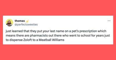 Hilary Hanson - 30 Of The Funniest Tweets About Cats And Dogs This Week (April 13-19) - huffpost.com - Usa