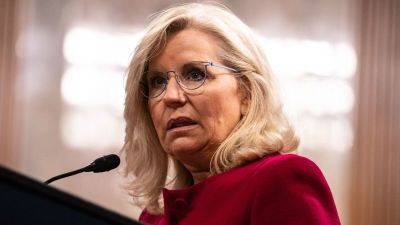 Jack Smith - Trump - Liz Cheney - Cheney warns of ‘profoundly negative impact’ if SCOTUS doesn’t resolve Trump immunity case quickly - edition.cnn.com - New York - state Wyoming