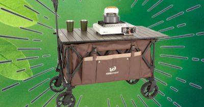 You'll Want This 'Cadillac Of Utility Carts' For Your Next Outdoor Outing