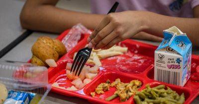 Michelle Obama - New Nutrition Guidelines Put Less Sugar and Salt on the Menu for School Meals - nytimes.com