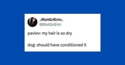 Elyse Wanshel - 24 Of The Funniest Tweets About Cats And Dogs This Week (April 20-26) - huffpost.com - Usa