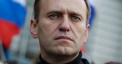 Joe Biden - Vladimir Putin - Alexei Navalny - Putin Likely Didn’t Order Death Of Russian Opposition Leader Navalny, U.S. Official Says - huffpost.com - Washington - Russia - Germany