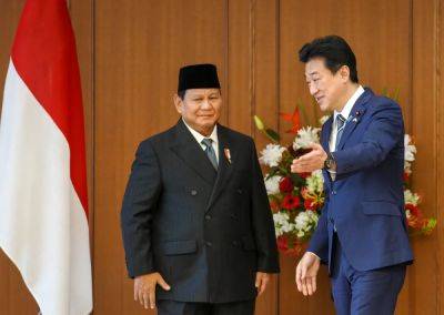 Indonesian president-elect vows to further strengthen ties with Japan after visiting China