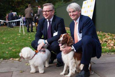 Tory MP Urges People To "Think Carefully" Before Buying Puppies