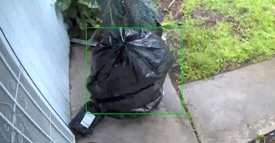 David Moye - Porch Pirate Dresses Up As Trash Bag To Steal Package Worth $10 - huffpost.com - state California
