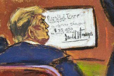 Donald Trump - Michael Cohen - Jake Tapper - Todd Blanche - Stormy Daniels - Joe Sommerlad - Juan Merchan - Colin Jost - David Pecker - Sketchy characters: The best courtroom drawings from Donald Trump’s New York hush money trial - independent.co.uk - city New York - New York - county Williams