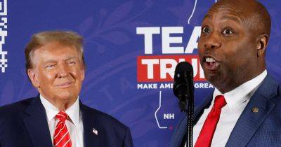 'Embarrassing' Tim Scott Gets Stark Reminder After Latest Toadying To Trump